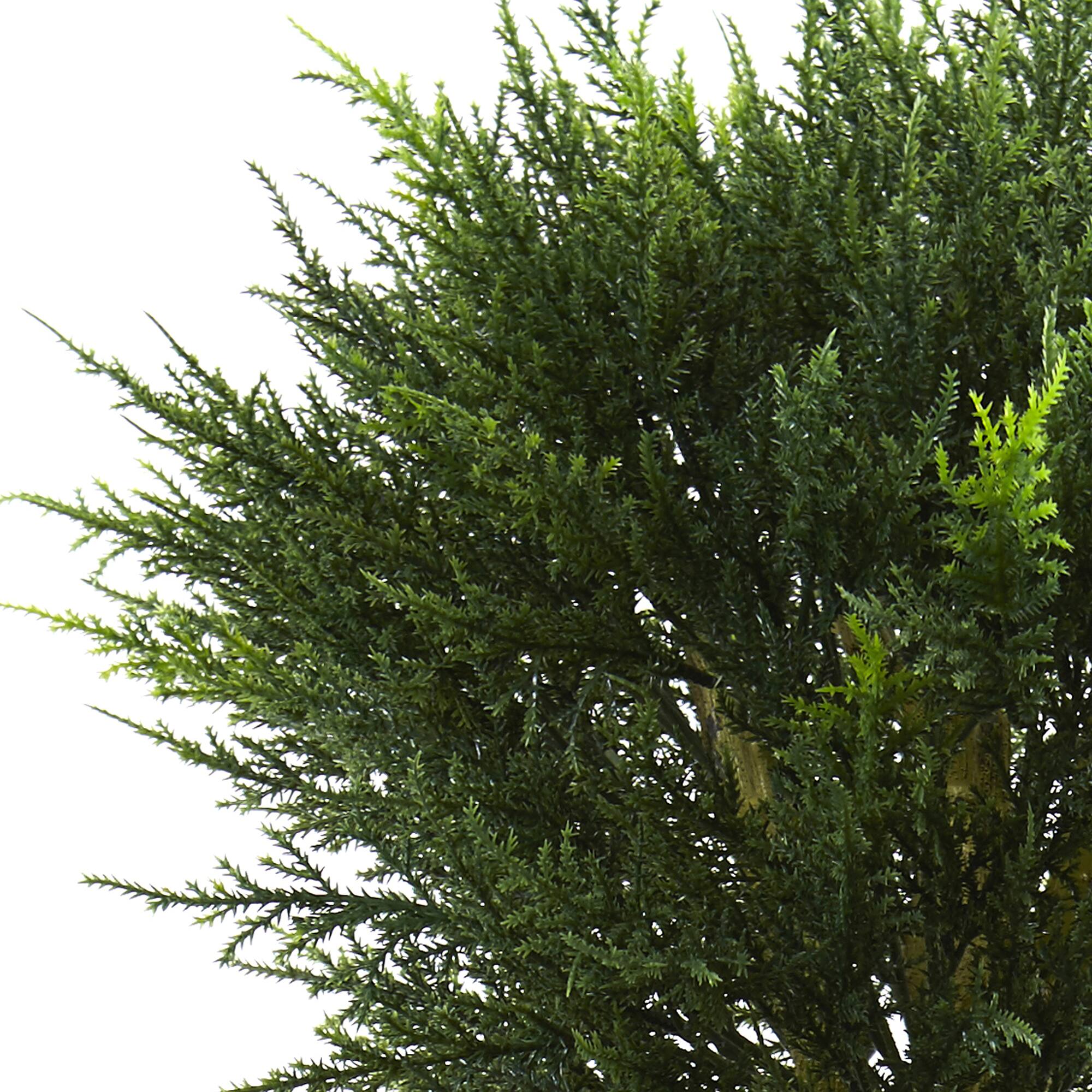 4.5ft. Cypress Topiary in Black Planter